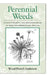Perennial Weeds by Wood Powell Anderson