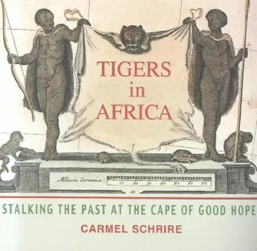 Tigers in Africa: Stalking the Past at the Cape of Good Hope by Carmel Schrire