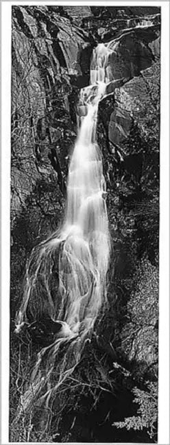 Shenandoah: Views of Our National Park by Hullihen Williams Moore
