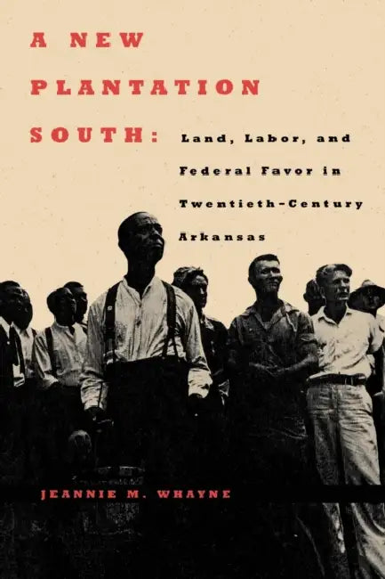 A New Plantation South: Land, Labor, and Federal Favor in Twentieth-Century Arkansas by Jeannie M. Whayne