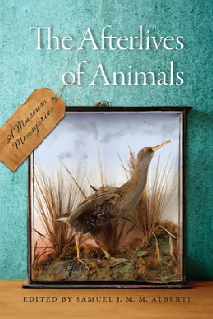 The Afterlives of Animals: A Museum Menagerie by Samuel J. M. M. Alberti