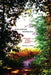 Reclaiming Nostalgia: Longing for Nature in American Literature / by Jennifer K. Ladino