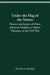 Under the Flag of the Nation: Diaries and Letters of Owen Johnston Hopkins, a Yankee Volunteer in the Civil War by Owen Johnston Hopkins