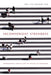 Inconvenient Strangers: Transnational Subjects and the Politics of Citizenship by Shui-Yin Sharon Yam