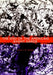 The End of the American Avant Garde: American Social Experience Series by Stuart D. Hobbs