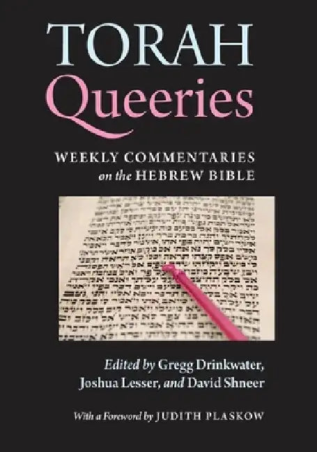 Torah Queeries: Weekly Commentaries on the Hebrew Bible by Gregg Drinkwater