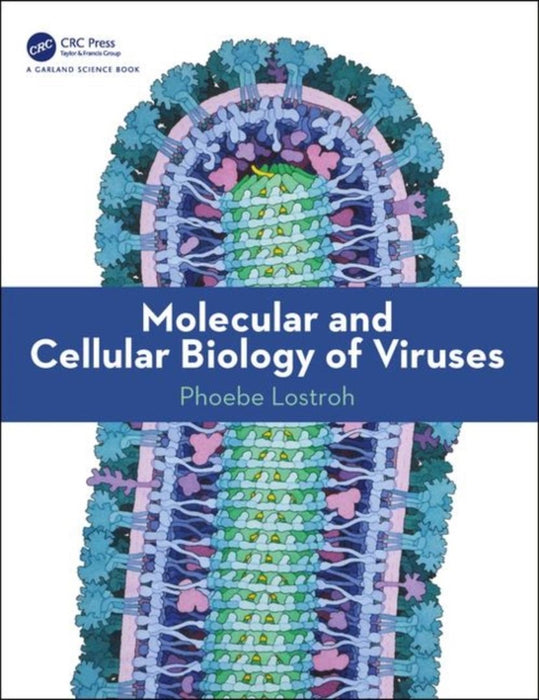 Molecular and Cellular Biology of Viruses: