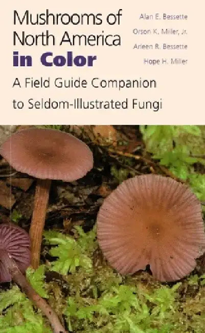 Mushrooms of North America in Color: A Field Guide Companion to Seldom-Illustrated Fungi by Alan Bessette