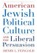 American Jewish Political Culture and the Liberal Persuasion by Henry Feingold