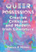 Queer Possessions: Creative Criticism and Modern Irish Literature by Patrick R. Mullen