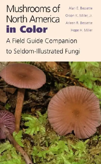 Mushrooms of North America in Color: A Field Guide Companion to Seldom-Illustrated Fungi by Alan Bessette, Orson Miller, Arleen Bessette