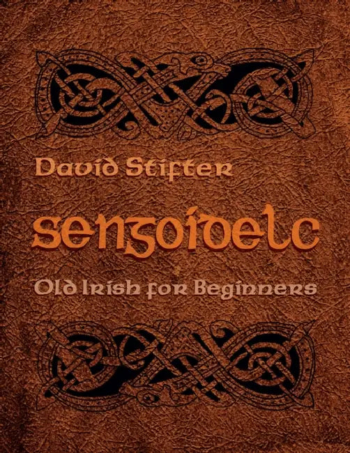 Sengoidelc: Old Irish for Beginners by David Stifter
