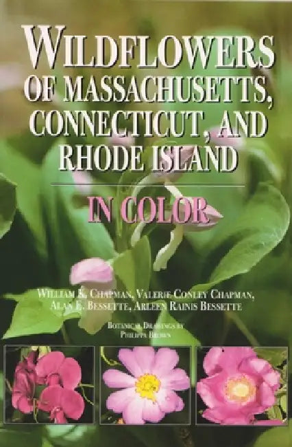 Wildflowers of Massachusetts, Connecticut, and Rhode Island in Color by William Chapman, Valerie Chapman, Alan Bessette