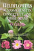 Wildflowers of Massachusetts, Connecticut, and Rhode Island in Color by William Chapman, Valerie Chapman, Alan Bessette