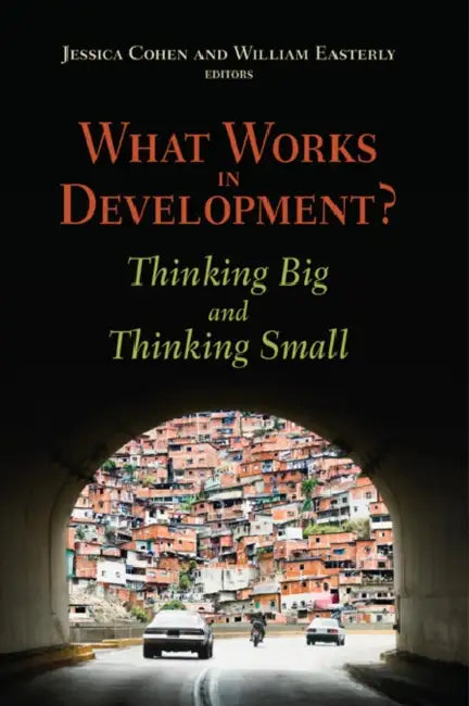What Works in Development?: Thinking Big and Thinking Small by Jessica Cohen, William Easterly