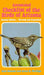 Annotated Checklist of the Birds of Arizona by Gale Monson, Allan R. Phillips