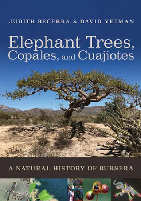 Elephant Trees, Copales, and Cuajiotes: A Natural History of Bursera by Judith X. Becerra, David Yetman, Exequiel Ezcurra