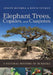 Elephant Trees, Copales, and Cuajiotes: A Natural History of Bursera by Judith X. Becerra, David Yetman, Exequiel Ezcurra