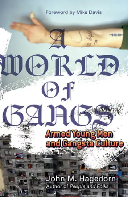 A World of Gangs: Armed Young Men and Gangsta Culture Volume 14 by John M. M. Hagedorn