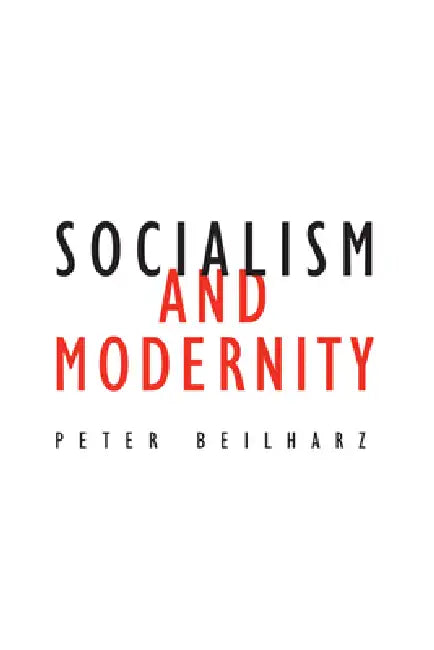 Socialism and Modernity: Volume 24 by Peter Beilharz