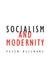 Socialism and Modernity: Volume 24 by Peter Beilharz