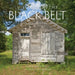 Visions of the Black Belt: A Cultural Survey of the Heart of Alabama by Robin McDonald, Valerie Pope Burnes, Robin McDonald