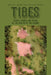 Tibes: People, Power, and Ritual at the Center of the Cosmos by L. Antonio Curet, Edwin Crespo-Torres, Lisa M. Stringer
