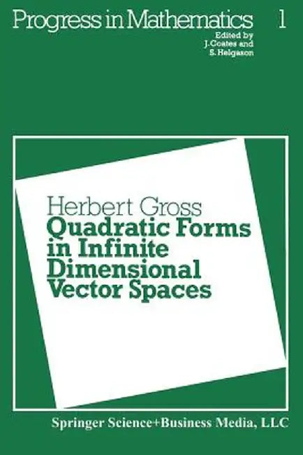 Quadratic Forms in Infinite Dimensional Vector Spaces by H. Gross