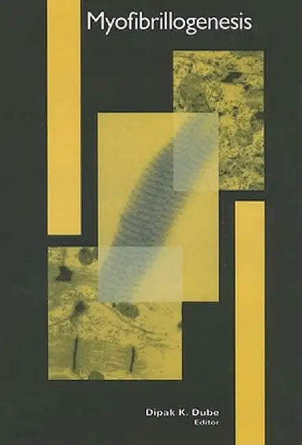 Myofibrillogenesis by Dipak K. Dube