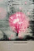 Planetary Noise: Selected Poetry of Erín Moure by Erín Moure, Shannon Maguire