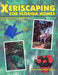Xeriscaping For Florida Homes by Monica Moran Brandies