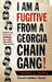 I Am a Fugitive from a Georgia Chain Gang! by Robert E. Burns, Matthew Mancini