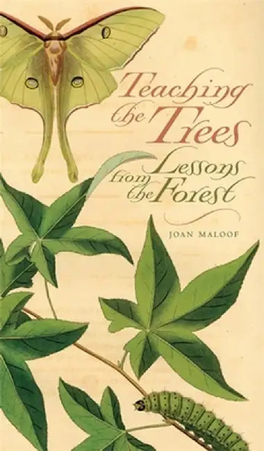 Teaching the Trees: Lessons from the Forest by Joan Maloof