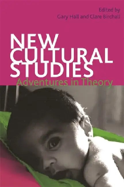 New Cultural Studies: Adventures in Theory by Gary Hall, Clare Birchall, Neil Badmington
