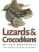Lizards & Crocodilians of the Southeast by Judy Greene