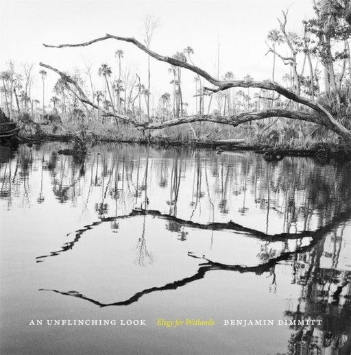 An Unflinching Look: Elegy for Wetlands by Benjamin Dimmitt