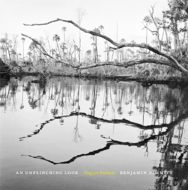 An Unflinching Look: Elegy for Wetlands by Benjamin Dimmitt