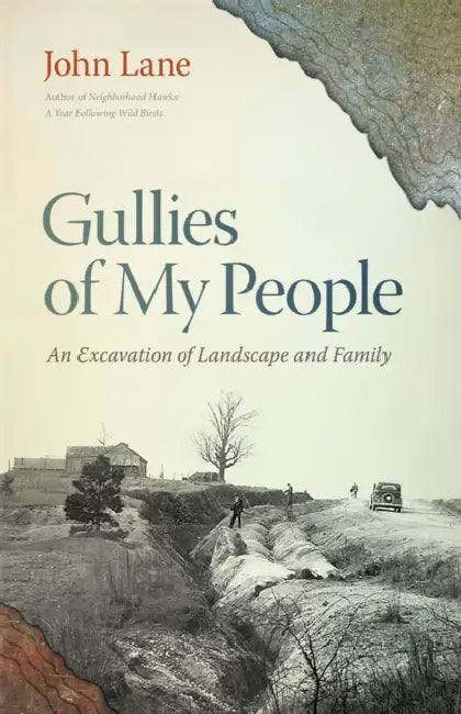 Gullies of My People: An Excavation of Landscape and Family by John Lane