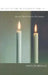 In Case of Fire in a Foreign Land: New and Collected Poems from Two Languages by Ariel Dorfman, Edith Grossman