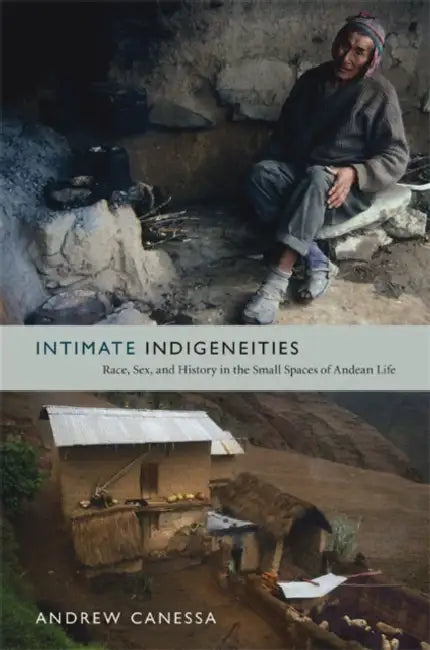 Intimate Indigeneities: Race, Sex, and History in the Small Spaces of Andean Life by Andrew Canessa