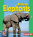African Elephants by Shannon Knudsen