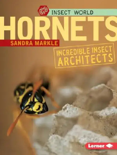 Hornets: Incredible Insect Architects by Sandra Markle