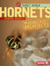 Hornets: Incredible Insect Architects by Sandra Markle