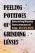 Peeling Potatoes or Grinding Lenses: Spinoza and Young Wittgenstein Converse on Immanence and Its Logic by Aristides Baltas