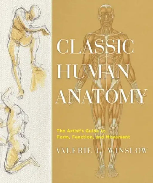 Classic Human Anatomy: The Artist's Guide to Form, Function, and Movement by Valerie L. Winslow