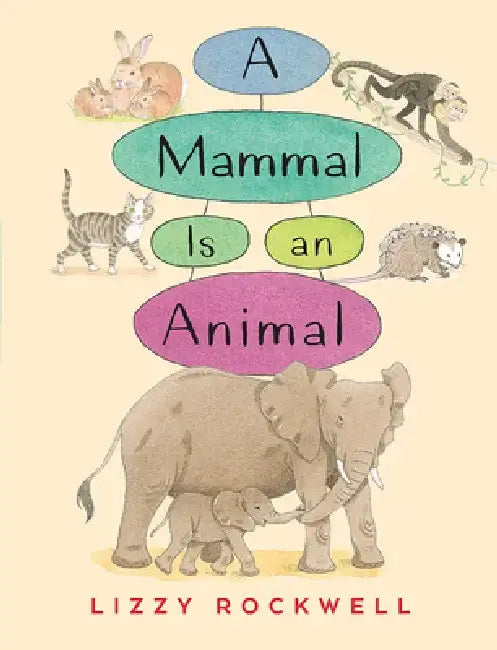 A Mammal Is an Animal by Lizzy Rockwell