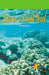 Life in a Coral Reef by Brian Brinkworth