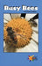 Busy Bees by Kristine Lalley