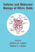 Cellular And Molecular Biology Of Nitric Oxide by Jeffrey D. Laskin, Debra L. Laskin