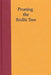 Pruning the Bodhi Tree: The Storm Over Critical Buddhism by Jamie Hubbard, Paul L. Swanson